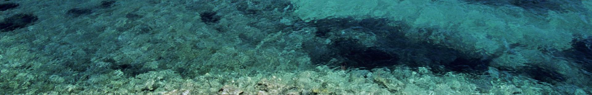 VONELLI CONCETTA — foto 3