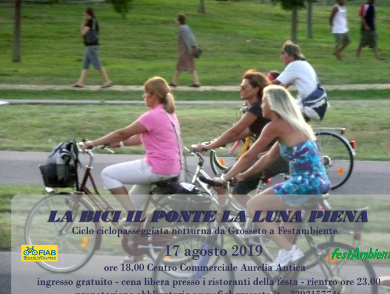 La bici, il ponte e la luna piena