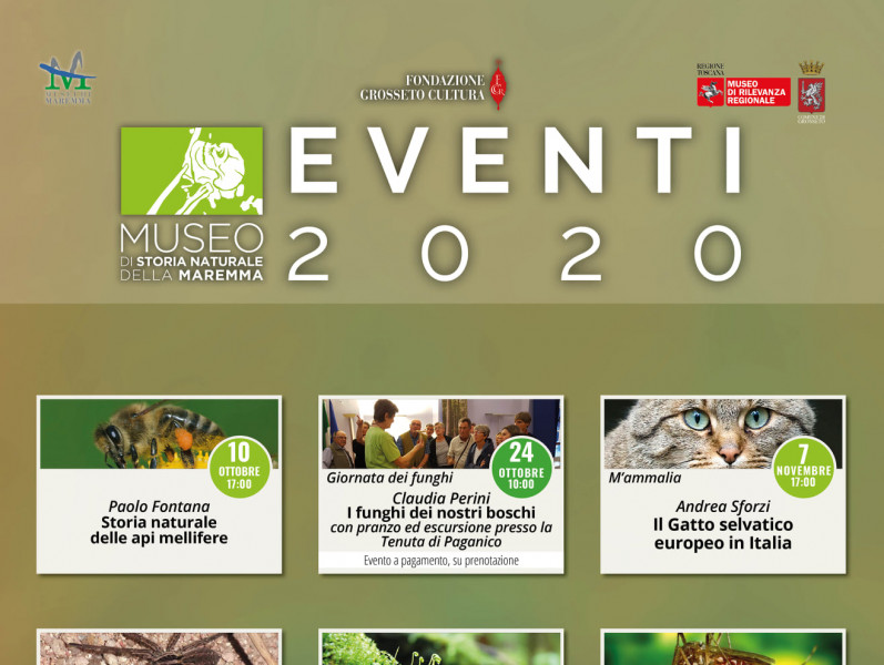 I muschi delle aree collinari e montane