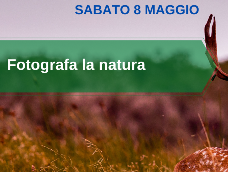Take a Picture of Nature 2021