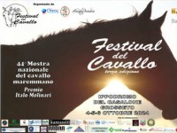 Festival of the horse Grosseto 2024