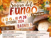 48th edition of the Amiatino Mushroom Festival - Bagnolo