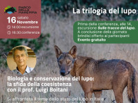 16 novembre: La trilogia del lupo nel Parco della Maremma “Biologia e conservazione del lupo, la sfida della coesistenza”