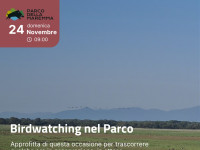 24 November "Birdwatching in the Maremma Park"