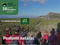 26 Dicembre 2024 - Postumi Natalizi al Parco della Maremma!