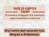 Wilde gispy trip