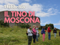 Il Tino di Moscona-1 Febbraio