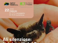 Ali silenziose: i pipistrelli del Parco