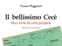 "Il bellissimo Cecè" di Franco Poggianti