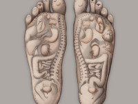 "Riflessologia plantare psicosomatica"
