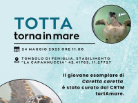 Liberazione di Totta!