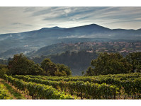 A day to discuss the future of food and wine tourism