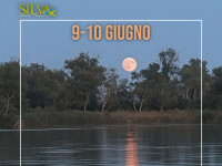 Plenilunio in canoa sul fiume Ombrone: lunedì 9 e martedì 10 giugno