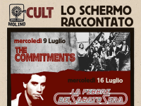 Cult: Lo schermo raccontato