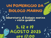 Un pomeriggio da biologo marino