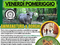 AninaNatura & Borghi -Semproniano