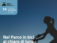 Pedalata sotto la luna nel Parco della Maremma