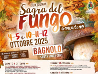 49° edizione della Sagra del Fungo Amiatino! Bagnolo