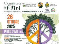 Walk among the Olive Trees 2025 – Pitigliano cultivates peace!