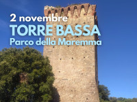 Torre Bassa 2 Novembre