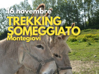 Trekking someggiato-Montegiovi
