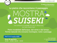 Mostra Suiseki