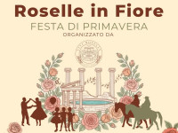 Roselle in Fiore