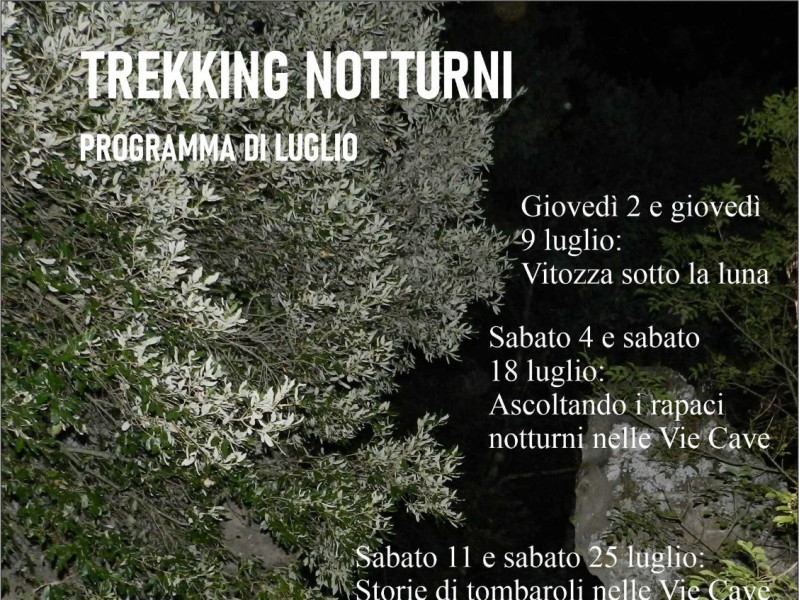 Blog One Image