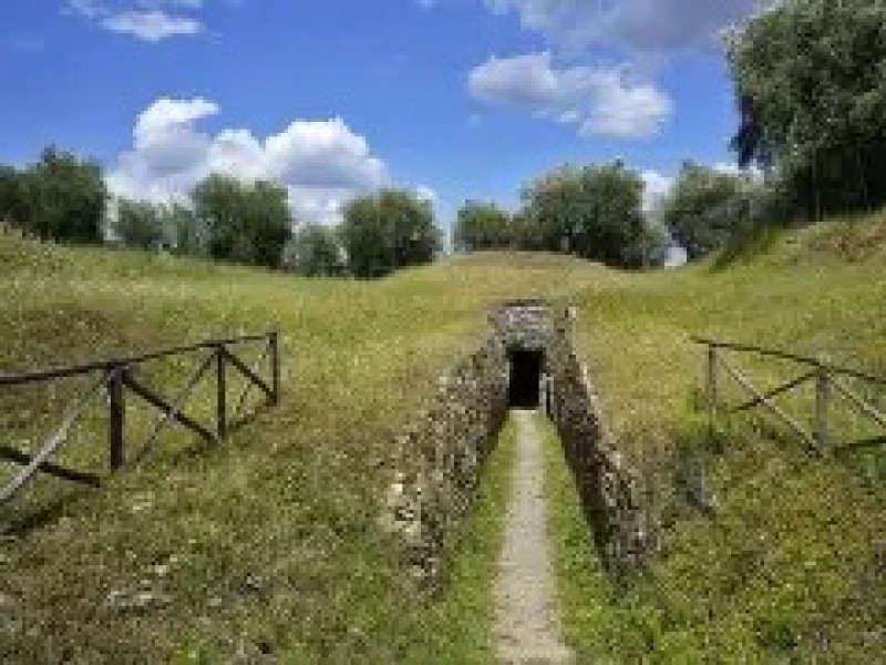 Blog One Image