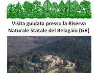 Roccastrada - Visita guidata Belagaio