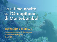 Le ultime novità dell'Oreopicus di Montebamboli